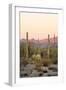 Arizona, Organ Pipe Cactus Nm. Saguaro Cactus and Chain Fruit Cholla-Kevin Oke-Framed Photographic Print