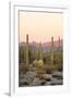 Arizona, Organ Pipe Cactus Nm. Saguaro Cactus and Chain Fruit Cholla-Kevin Oke-Framed Photographic Print