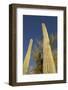 Arizona, Organ Pipe Cactus Nm. Saguaro Cactus Trunk with Blue Sky-Kevin Oke-Framed Photographic Print