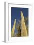 Arizona, Organ Pipe Cactus Nm. Saguaro Cactus Trunk with Blue Sky-Kevin Oke-Framed Photographic Print