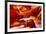 Arizona, Page, Upper Antelope Slot Canyon-Jaynes Gallery-Framed Photographic Print