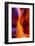 Arizona, Page, Upper Antelope Slot Canyon-Jaynes Gallery-Framed Photographic Print