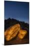 Arizona, Painted Rock Petroglyph Site. Rocks Covered with Petroglyphs-Cathy & Gordon Illg-Mounted Photographic Print