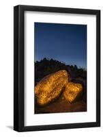 Arizona, Painted Rock Petroglyph Site. Rocks Covered with Petroglyphs-Cathy & Gordon Illg-Framed Photographic Print