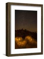 Arizona, Painted Rock Petroglyph Site. Rocks Covered with Petroglyphs-Cathy & Gordon Illg-Framed Photographic Print