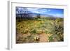 Arizona, Pinaleno Mountains Seen across the Desert Along Highway 191-Richard Wright-Framed Photographic Print