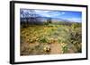 Arizona, Pinaleno Mountains Seen across the Desert Along Highway 191-Richard Wright-Framed Photographic Print