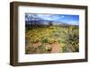 Arizona, Pinaleno Mountains Seen across the Desert Along Highway 191-Richard Wright-Framed Photographic Print
