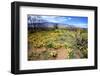 Arizona, Pinaleno Mountains Seen across the Desert Along Highway 191-Richard Wright-Framed Photographic Print