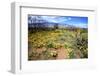 Arizona, Pinaleno Mountains Seen across the Desert Along Highway 191-Richard Wright-Framed Photographic Print