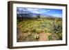 Arizona, Pinaleno Mountains Seen across the Desert Along Highway 191-Richard Wright-Framed Photographic Print