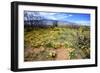 Arizona, Pinaleno Mountains Seen across the Desert Along Highway 191-Richard Wright-Framed Photographic Print