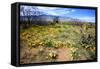 Arizona, Pinaleno Mountains Seen across the Desert Along Highway 191-Richard Wright-Framed Stretched Canvas