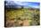 Arizona, Pinaleno Mountains Seen across the Desert Along Highway 191-Richard Wright-Stretched Canvas