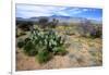 Arizona, Pinaleno Mts Along Hwy 191, with a Field of Mexican Poppies-Richard Wright-Framed Photographic Print