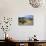 Arizona, Pinaleno Mts Along Hwy 191, with a Field of Mexican Poppies-Richard Wright-Photographic Print displayed on a wall