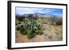 Arizona, Pinaleno Mts Along Hwy 191, with a Field of Mexican Poppies-Richard Wright-Framed Photographic Print