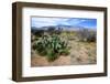 Arizona, Pinaleno Mts Along Hwy 191, with a Field of Mexican Poppies-Richard Wright-Framed Photographic Print