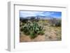 Arizona, Pinaleno Mts Along Hwy 191, with a Field of Mexican Poppies-Richard Wright-Framed Photographic Print