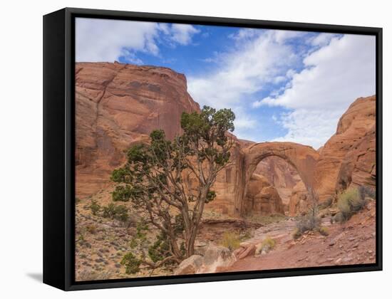 Arizona. Rainbow Bridge Arch in Glen Canyon National Recreation Area-Jaynes Gallery-Framed Stretched Canvas