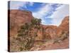 Arizona. Rainbow Bridge Arch in Glen Canyon National Recreation Area-Jaynes Gallery-Stretched Canvas