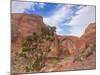 Arizona. Rainbow Bridge Arch in Glen Canyon National Recreation Area-Jaynes Gallery-Mounted Photographic Print