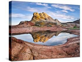 Arizona Reflection II-David Drost-Stretched Canvas