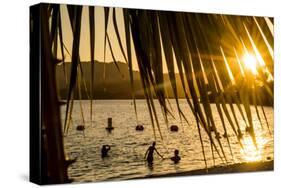Arizona, Rte 66 Expedition, Cattail Cove State Park on Lake Havasu at Sunset-Alison Jones-Stretched Canvas