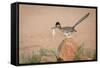 Arizona, Santa Rita Mountains. a Greater Roadrunner on Rock with Prey-Wendy Kaveney-Framed Stretched Canvas