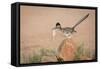 Arizona, Santa Rita Mountains. a Greater Roadrunner on Rock with Prey-Wendy Kaveney-Framed Stretched Canvas
