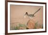 Arizona, Santa Rita Mountains. a Greater Roadrunner on Rock with Prey-Wendy Kaveney-Framed Photographic Print