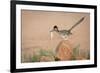 Arizona, Santa Rita Mountains. a Greater Roadrunner on Rock with Prey-Wendy Kaveney-Framed Photographic Print