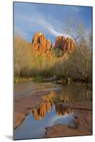 Arizona, Sedona, Crescent Moon Recreation Area, Red Rock Crossing, Cathedral Rock-Jamie & Judy Wild-Mounted Premium Photographic Print