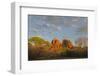 Arizona, Sedona, Crescent Moon Recreation Area, Red Rock Crossing, Cathedral Rock-Jamie & Judy Wild-Framed Photographic Print