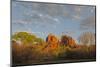 Arizona, Sedona, Crescent Moon Recreation Area, Red Rock Crossing, Cathedral Rock-Jamie & Judy Wild-Mounted Photographic Print