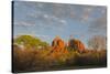 Arizona, Sedona, Crescent Moon Recreation Area, Red Rock Crossing, Cathedral Rock-Jamie & Judy Wild-Stretched Canvas