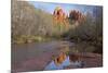 Arizona, Sedona, Crescent Moon Recreation Area, Red Rock Crossing, Cathedral Rock-Jamie & Judy Wild-Mounted Premium Photographic Print