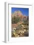 Arizona, Sedona, Red Rock Country, Thunder Mountain-Jamie & Judy Wild-Framed Photographic Print