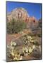 Arizona, Sedona, Red Rock Country, Thunder Mountain-Jamie & Judy Wild-Mounted Photographic Print