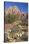 Arizona, Sedona, Red Rock Country, Thunder Mountain-Jamie & Judy Wild-Stretched Canvas