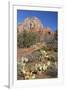 Arizona, Sedona, Red Rock Country, Thunder Mountain-Jamie & Judy Wild-Framed Premium Photographic Print