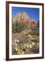Arizona, Sedona, Red Rock Country, Thunder Mountain-Jamie & Judy Wild-Framed Premium Photographic Print
