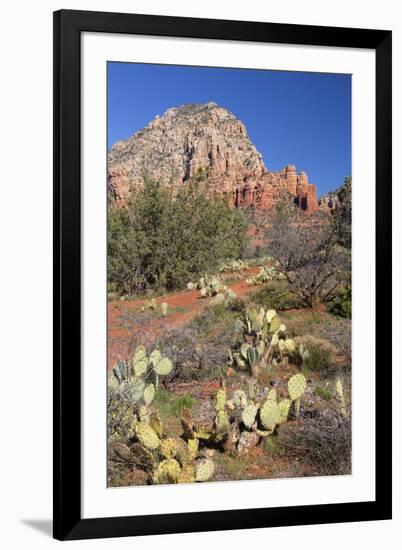Arizona, Sedona, Red Rock Country, Thunder Mountain-Jamie & Judy Wild-Framed Premium Photographic Print
