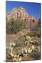 Arizona, Sedona, Red Rock Country, Thunder Mountain-Jamie & Judy Wild-Mounted Premium Photographic Print