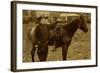 Arizona Sheriff With Revolver Ca 1880s-1890s.-J.C. Burge-Framed Art Print