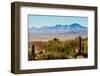 Arizona Sonora Desert Museum Vista-NSirlin-Framed Photographic Print