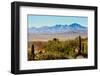 Arizona Sonora Desert Museum Vista-NSirlin-Framed Photographic Print