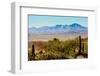 Arizona Sonora Desert Museum Vista-NSirlin-Framed Photographic Print