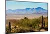 Arizona Sonora Desert Museum Vista-NSirlin-Mounted Photographic Print