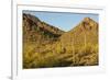 Arizona, Sonoran Desert. Saguaro Cactus and Blooming Palo Verde Trees-Cathy & Gordon Illg-Framed Photographic Print